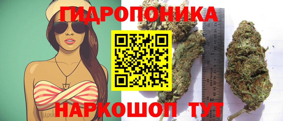 Марихуана планчик  Вход с VPN  Шишки марихуана тримм  Камышин  МАРИХУАНА White Widow  МАРИХУАНА ГИДРОПОН 